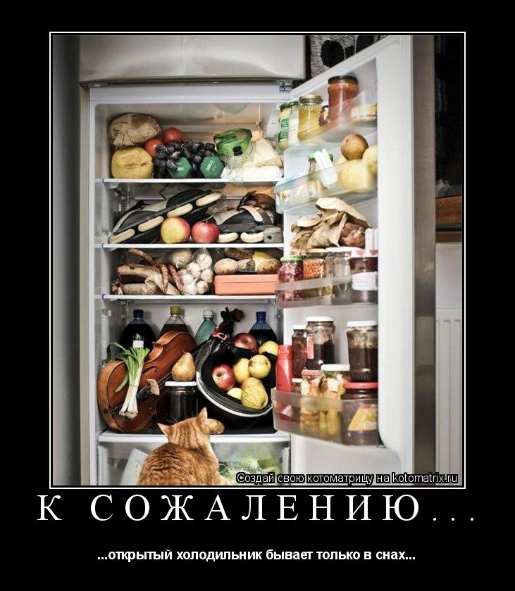 К СОЖАЛЕНИЮ... ...открытый холодильник бывает только в снах...... Котоматрица: К СОЖАЛЕНИЮ... ...открытый холодильник бывает только в снах...