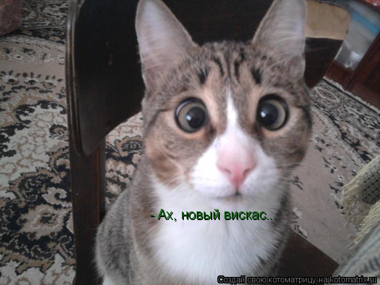 - Ах, новый вискас...... Котоматрица: - Ах, новый вискас...