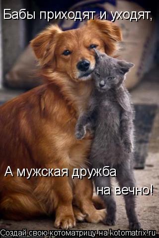 Бабы приходят и уходят, А мужская дружба на вечно!... Котоматрица: Бабы приходят и уходят, А мужская дружба на вечно!
