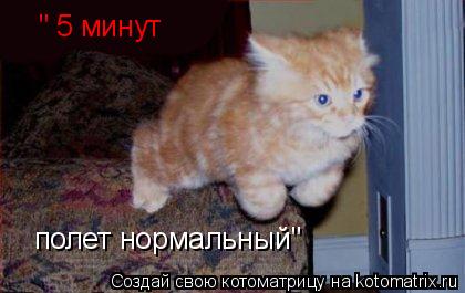 " 5 минут полет нормальный"... Котоматрица: " 5 минут полет нормальный"