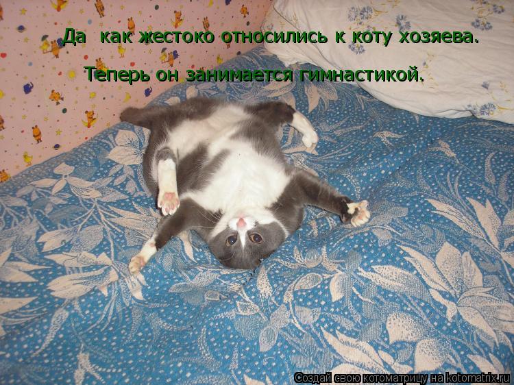 Да как жестоко относились к коту хозяева. Теперь он занимается гимнастикой.... Котоматрица: Да как жестоко относились к коту хозяева. Теперь он занимается гимнастикой.
