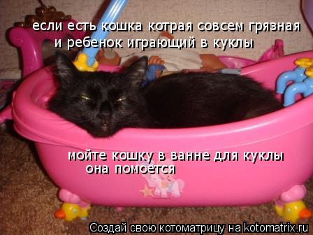 если есть кошка котрая совсем грязная и ребенок играющий в куклы мойте кошку в ванне для куклы он... Котоматрица: если есть кошка котрая совсем грязная и ребенок играющий в куклы мойте кошку в ванне для куклы она помоется