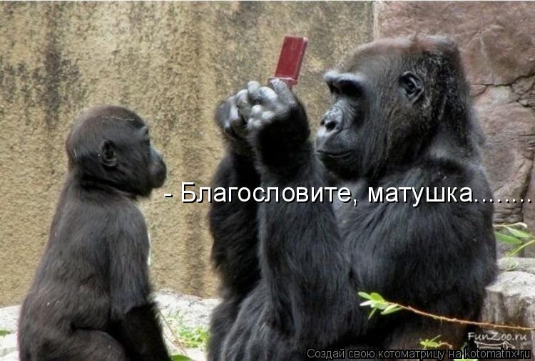 - Благословите, матушка........... Котоматрица: - Благословите, матушка........
