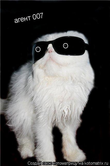 агент 007 О О . .... Котоматрица: агент 007 О О . .