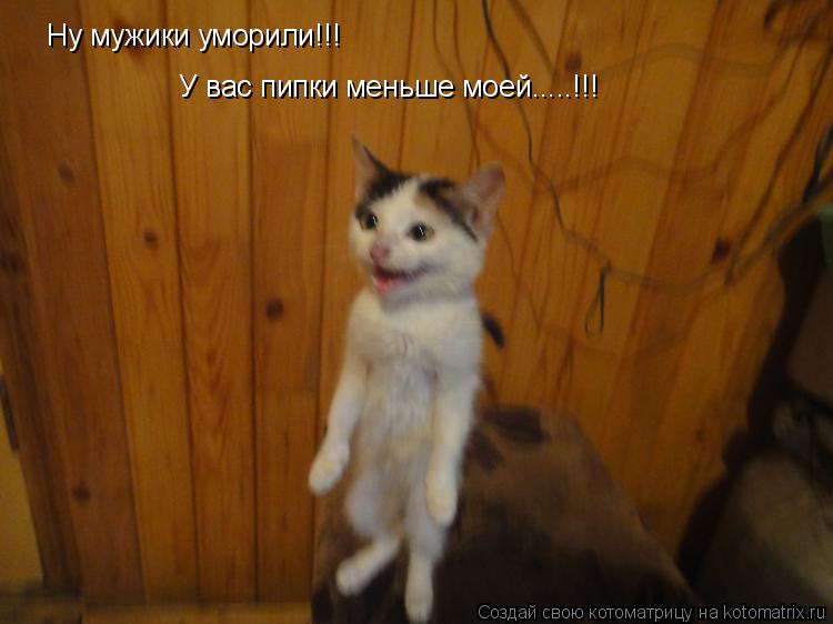 Ну мужики уморили!!! У вас пипки меньше моей.....!!!... Котоматрица: Ну мужики уморили!!! У вас пипки меньше моей.....!!!