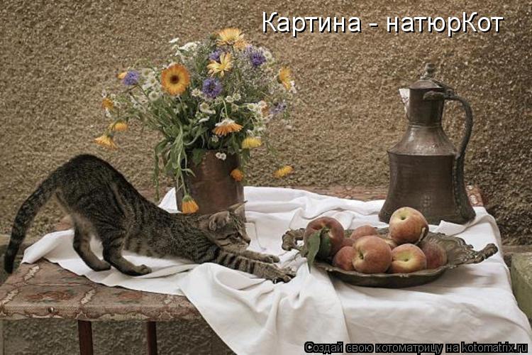 Картина - натюрКот... Котоматрица: Картина - натюрКот