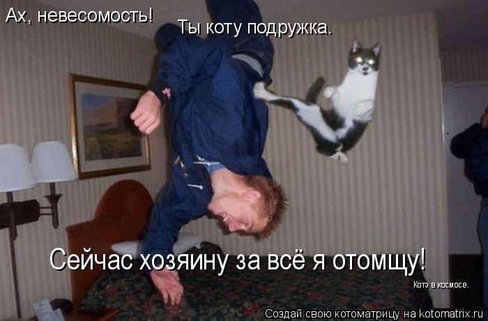 Ах, невесомость! Ты коту подружка. Сейчас хозяину за всё я отомщу! Котэ в космосе.... Котоматрица: Ах, невесомость! Ты коту подружка. Сейчас хозяину за всё я отомщу! Котэ в космосе.