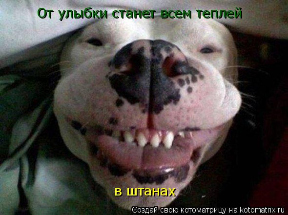 От улыбки станет всем теплей в штанах... Котоматрица: От улыбки станет всем теплей в штанах