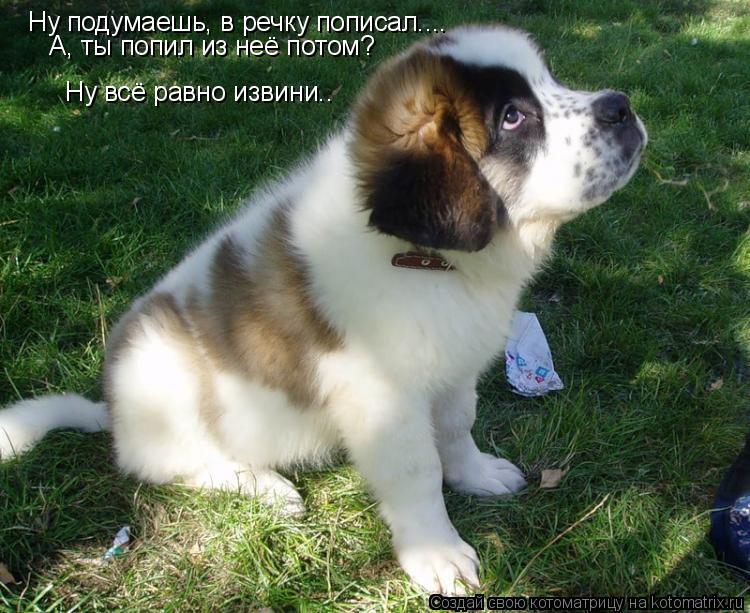 Ну подумаешь, в речку пописал.... А, ты попил из неё потом? Ну всё равно извини..... Котоматрица: Ну подумаешь, в речку пописал.... А, ты попил из неё потом? Ну всё равно извини..
