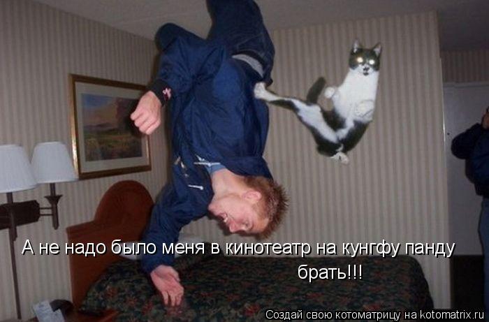 А не надо было меня в кинотеатр на кунгфу панду брать!!!... Котоматрица: А не надо было меня в кинотеатр на кунгфу панду брать!!!