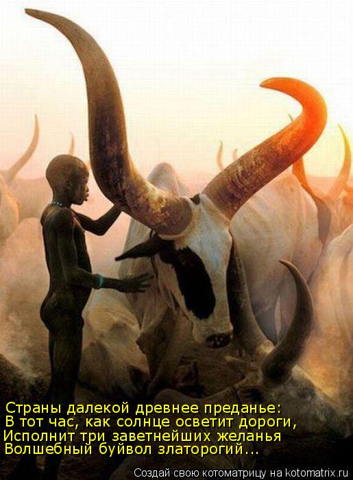 Страны далекой древнее преданье: В тот час, как солнце осветит дороги, Исполнит три заветнейших желан... Котоматрица: Страны далекой древнее преданье: В тот час, как солнце осветит дороги, Исполнит три заветнейших желанья Волшебный буйвол златорогий...