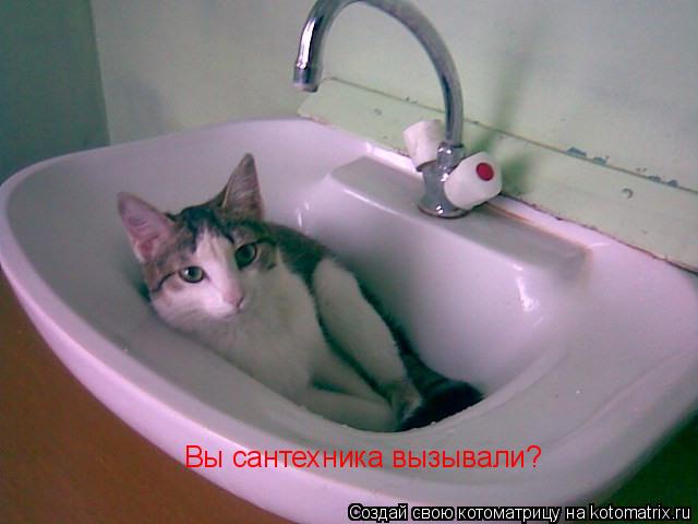 Вы сантехника вызывали?... Котоматрица: Вы сантехника вызывали?