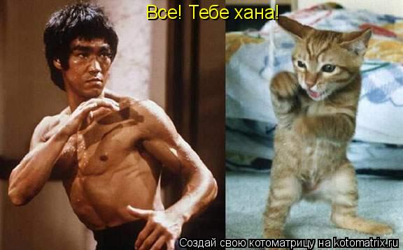 Все! Тебе хана!... Котоматрица: Все! Тебе хана!