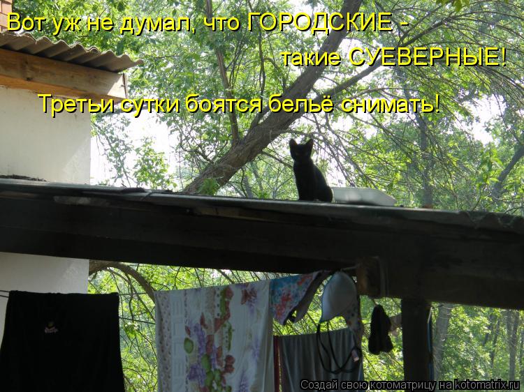 Вот уж не думал, что ГОРОДСКИЕ - такие СУЕВЕРНЫЕ! Третьи сутки боятся бельё снимать!... Котоматрица: Вот уж не думал, что ГОРОДСКИЕ - такие СУЕВЕРНЫЕ! Третьи сутки боятся бельё снимать!