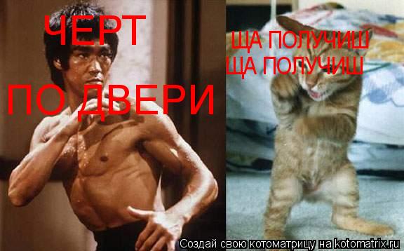 ЧЕРТ ПО ДВЕРИ ЩА ПОЛУЧИШ ЩА ПОЛУЧИШ... Котоматрица: ЧЕРТ ПО ДВЕРИ ЩА ПОЛУЧИШ ЩА ПОЛУЧИШ