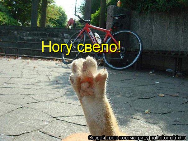Ногу свело!... Котоматрица: Ногу свело!