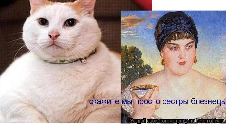 - скажите мы просто сёстры блезнецы... Котоматрица: - скажите мы просто сёстры блезнецы