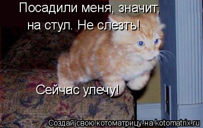 Посадили меня, значит, на стул. Не слезть! Сейчас улечу!... Котоматрица: Посадили меня, значит, на стул. Не слезть! Сейчас улечу!