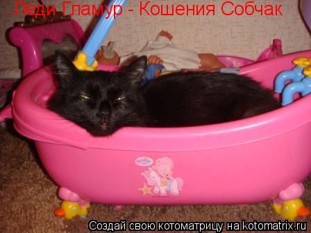 Леди Гламур - Кошения Собчак... Котоматрица: Леди Гламур - Кошения Собчак