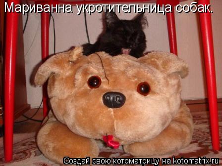 Мариванна укротительница собак.... Котоматрица: Мариванна укротительница собак.