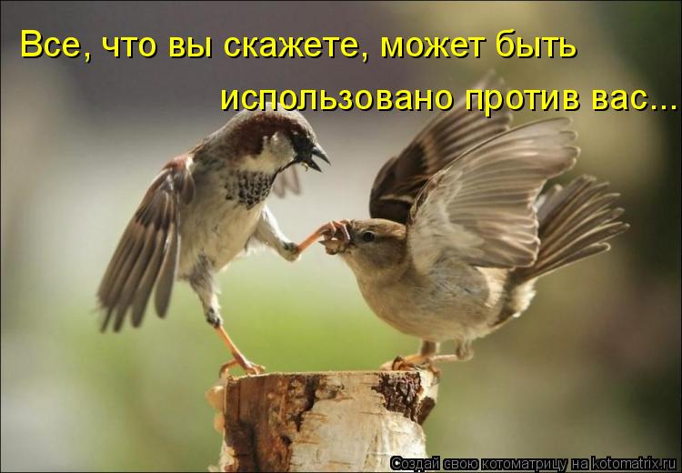Все, что вы скажете, может быть использовано против вас...... Котоматрица: Все, что вы скажете, может быть использовано против вас...