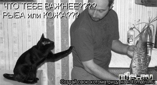 ЧТО ТЕБЕ ВАЖНЕЕ???? РЫБА или КОЖА???... Котоматрица: ЧТО ТЕБЕ ВАЖНЕЕ???? РЫБА или КОЖА???