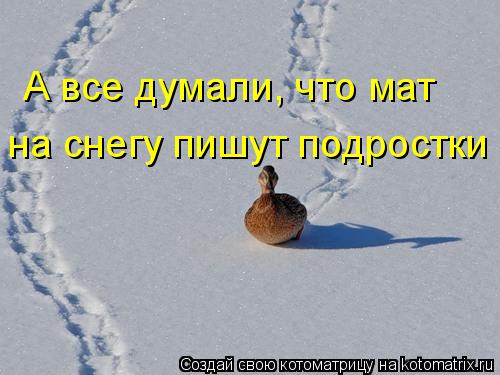 А все думали, что мат на снегу пишут подростки... Котоматрица: А все думали, что мат на снегу пишут подростки