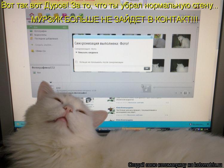 Вот так вот Дуров! За то, что ты убрал нормальную стену... МУРЗИК БОЛЬШЕ НЕ ЗАЙДЕТ В КОНТАКТ!!!... Котоматрица: Вот так вот Дуров! За то, что ты убрал нормальную стену... МУРЗИК БОЛЬШЕ НЕ ЗАЙДЕТ В КОНТАКТ!!!