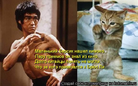 Пару приемов он знал из кино. Маленький Барсик нашел кимоно. Долго китайцы понять не могли, Что за ко... Котоматрица: Пару приемов он знал из кино. Маленький Барсик нашел кимоно. Долго китайцы понять не могли, Что за котэ привязался к Брюс Ли.