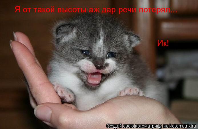Я от такой высоты аж дар речи потерял... Ик!... Котоматрица: Я от такой высоты аж дар речи потерял... Ик!