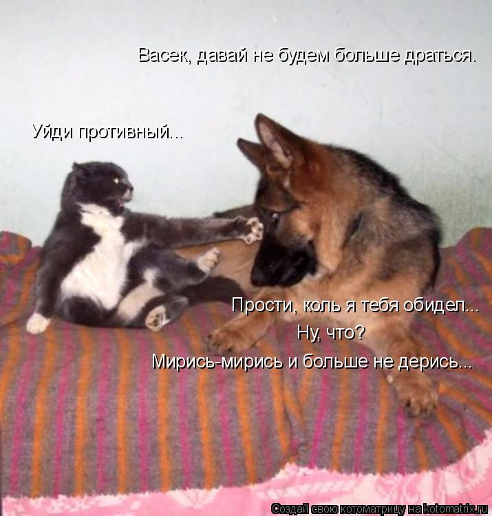 Васек, давай не будем больше драться. Уйди противный... Прости, коль я тебя обидел... Ну, что? Мирис... Котоматрица: Васек, давай не будем больше драться. Уйди противный... Прости, коль я тебя обидел... Ну, что? Мирись-мирись и больше не дерись...