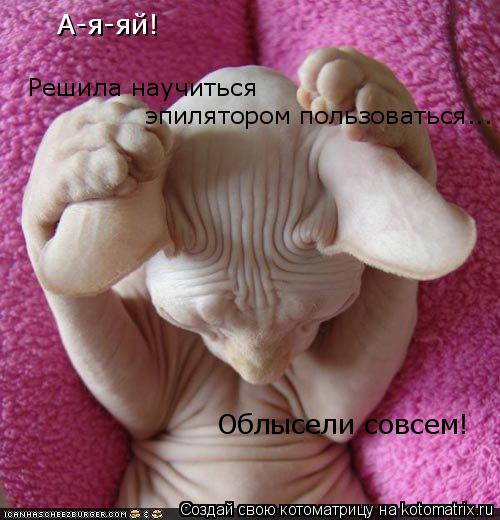 А-я-яй! Облысели совсем! Решила научиться эпилятором пользоваться...... Котоматрица: А-я-яй! Облысели совсем! Решила научиться эпилятором пользоваться...