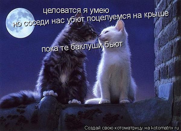 целоватся я умею но соседи нас убют поцелуемся на крыше пока те баклуши бьют... Котоматрица: целоватся я умею но соседи нас убют поцелуемся на крыше пока те баклуши бьют