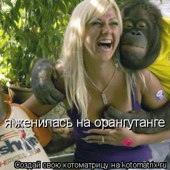 я женилась на орангутанге... Котоматрица: я женилась на орангутанге