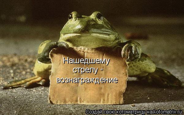 Нашедшему стрелу - вознаграждение... Котоматрица: Нашедшему стрелу - вознаграждение