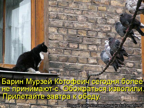 Прилетайте завтра к обеду. Барин Мурзей Котофеич сегодня более не принимают-с. Обожраться изволили.... Котоматрица: Прилетайте завтра к обеду. Барин Мурзей Котофеич сегодня более не принимают-с. Обожраться изволили.