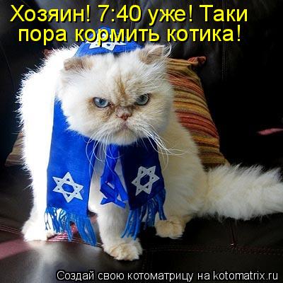 Котоматрица: Хозяин! 7:40 уже! Таки пора кормить котика!