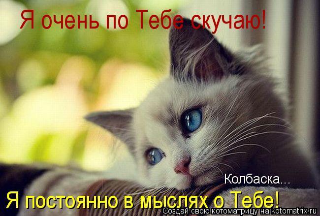 Колбаска...... Котоматрица: Колбаска...