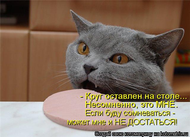 Котоматрица: - Круг оставлен на столе... Несомненно, это МНЕ. Если буду сомневаться - может мне и НЕ ДОСТАТЬСЯ!