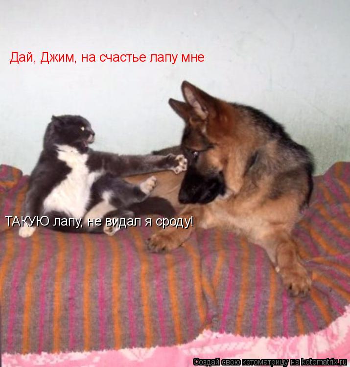 Дай, Джим, на счастье лапу мне ТАКУЮ лапу, не видал я сроду!... Котоматрица: Дай, Джим, на счастье лапу мне ТАКУЮ лапу, не видал я сроду!