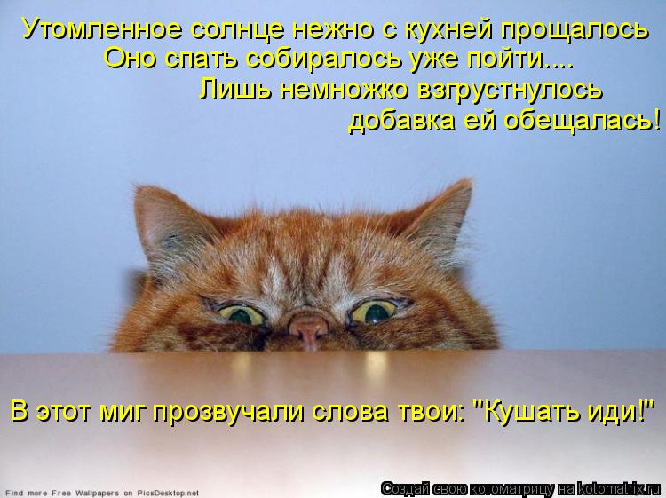 Утомленное солнце нежно с кухней прощалось Оно спать собиралось уже пойти.... Лишь немножко взгрустну... Котоматрица: Утомленное солнце нежно с кухней прощалось Оно спать собиралось уже пойти.... Лишь немножко взгрустнулось добавка ей обещалась! В этот миг п