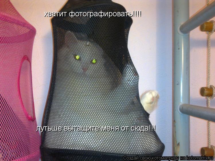 хватит фотографировать!!!! лутьше вытащите меня от сюда!!!... Котоматрица: хватит фотографировать!!!! лутьше вытащите меня от сюда!!!