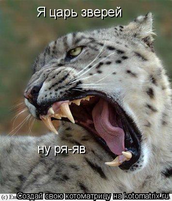 Я царь зверей ну ря-яв... Котоматрица: Я царь зверей ну ря-яв