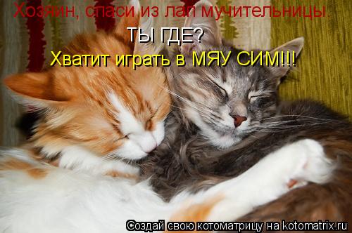 Хозяин, спаси из лап мучительницы. ТЫ ГДЕ? Хватит играть в МЯУ СИМ!!!... Котоматрица: Хозяин, спаси из лап мучительницы. ТЫ ГДЕ? Хватит играть в МЯУ СИМ!!!