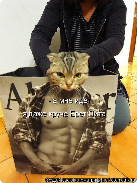 - а мне идет - а мне идет я даже круче Брет Пита... Котоматрица: - а мне идет - а мне идет я даже круче Брет Пита