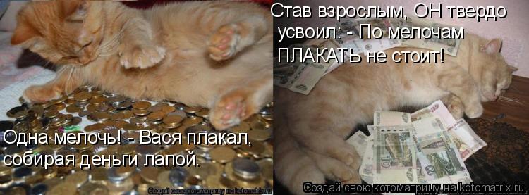 Одна мелочь! - Вася плакал, собирая деньги лапой. Став взрослым, ОН твердо усвоил: - По мелочам ПЛ... Котоматрица: Одна мелочь! - Вася плакал, собирая деньги лапой. Став взрослым, ОН твердо усвоил: - По мелочам ПЛАКАТЬ не стоит!