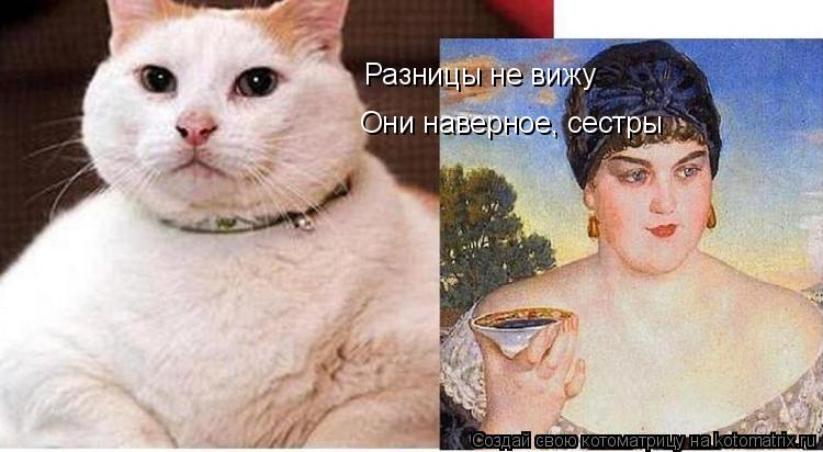 Разницы не вижу Они наверное, сестры... Котоматрица: Разницы не вижу Они наверное, сестры