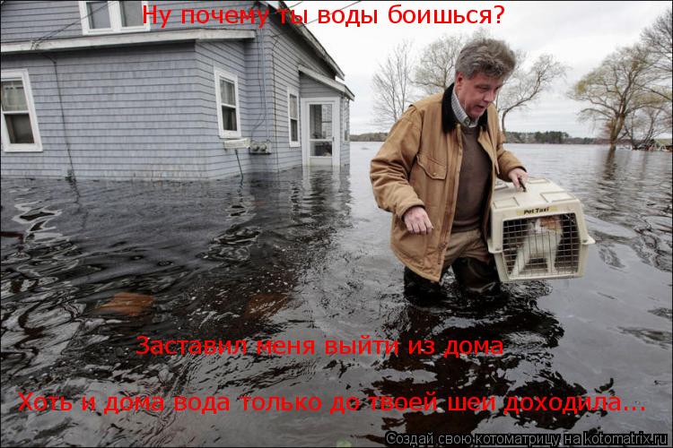 Ну почему ты воды боишься? Заставил меня выйти из дома Хоть и дома вода только до твоей шеи доходила.... Котоматрица: Ну почему ты воды боишься? Заставил меня выйти из дома Хоть и дома вода только до твоей шеи доходила...