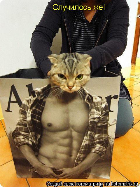 Случилось же!... Котоматрица: Случилось же!
