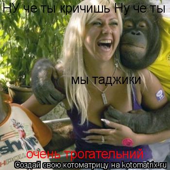 НУ че ты кричишь Ну че ты кричишь мы таджики очень трогательний... Котоматрица: НУ че ты кричишь Ну че ты кричишь мы таджики очень трогательний